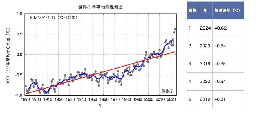 世界の年平均気温の経年変化（1891～2024年）と順位表（上位5年）。1991～2020年の30年平均値からの偏差で表示。2024年は1～11月の期間から算出した速報値。