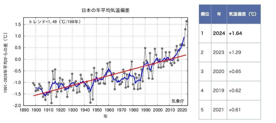 日本の年平均気温の経年変化（1898～2024年）と順位表（上位5年）。1991～2020年の30年平均値からの偏差で表示。2024年は1～11月の期間から算出した速報値。