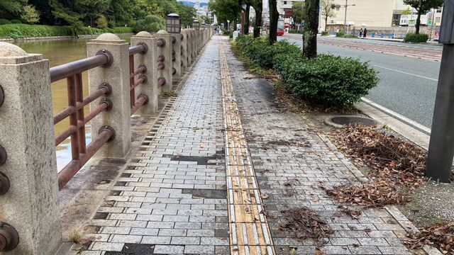 道路に落ち葉や泥が残った松山市本町の歩道(提供:森特定教授)