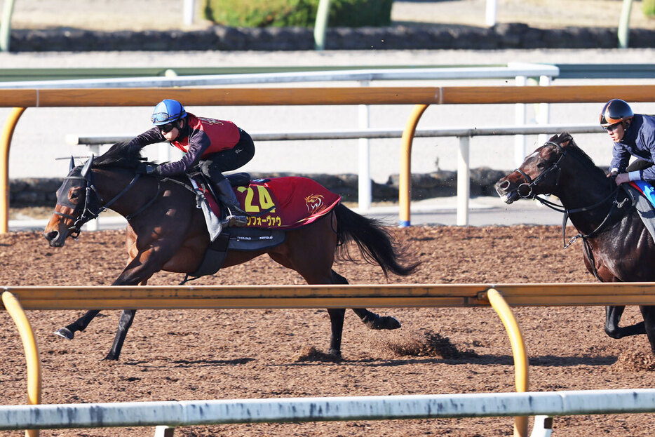 僚馬をぶっちぎったランフォーヴァウ（左）