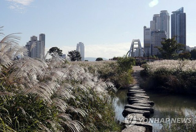 都市近隣公園の太和江国家庭園＝（聯合ニュース）