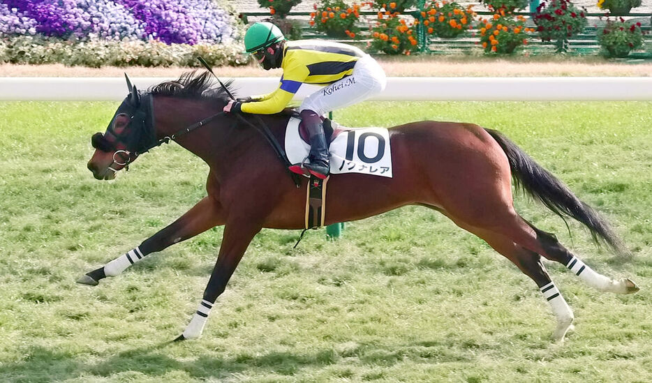 新馬勝ちしたノクナレア（カメラ・豊田　秀一）