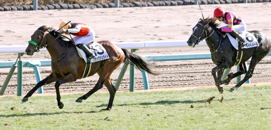 デビュー戦を飾ったブラックジェダイト（左）（カメラ・池内　雅彦）