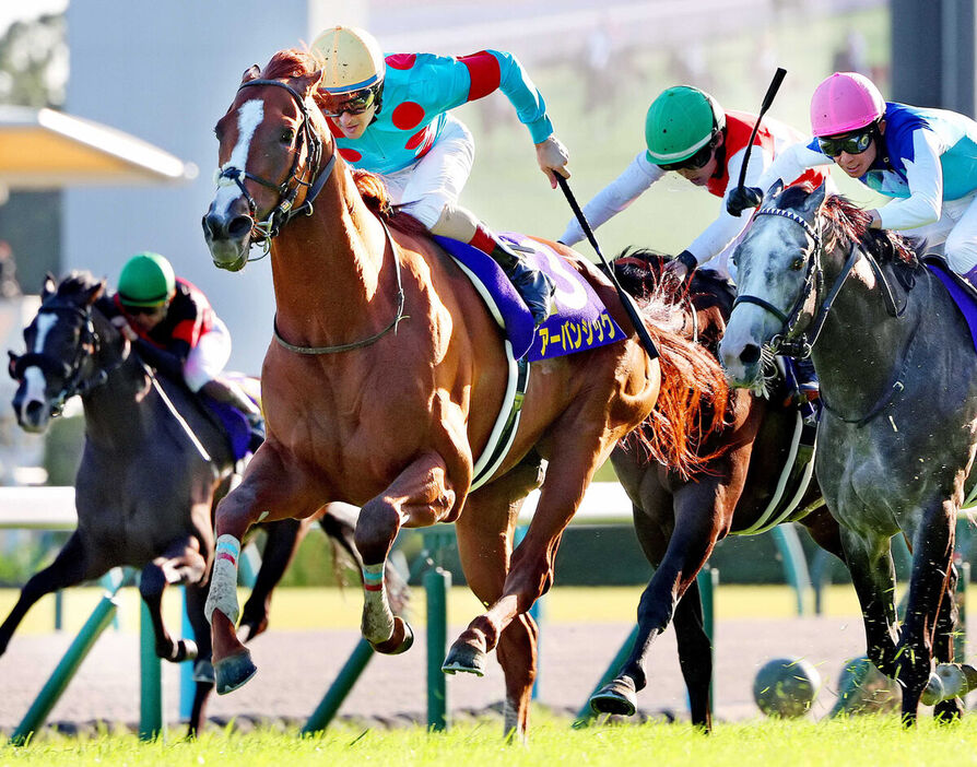 菊花賞を制したルメール騎手騎乗のアーバンシック（左から２頭目）