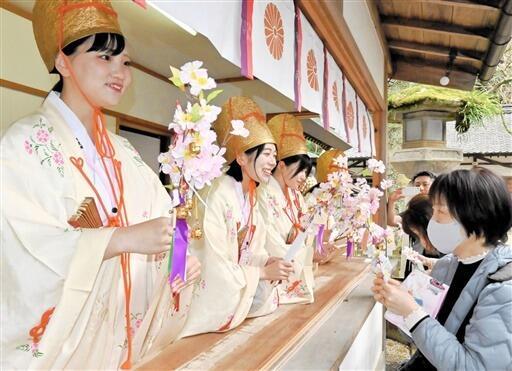 福娘と桜の小枝を交換する花換まつり=2024年3月30日、福井県敦賀市の金崎宮