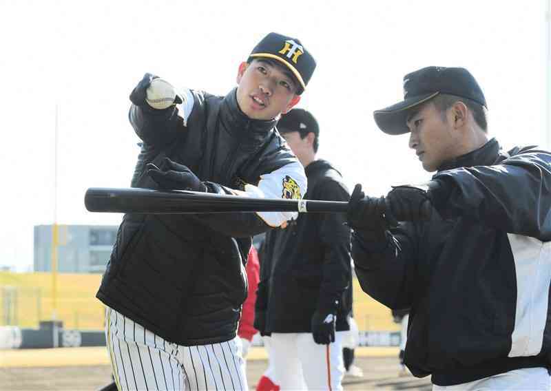 打撃練習でアドバイスする百﨑蒼生（阪神）＝14日、リブワーク藤崎台球場