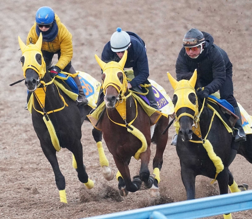 3頭併せで追い切るニタモノドウシ（中）（撮影・村上大輔）