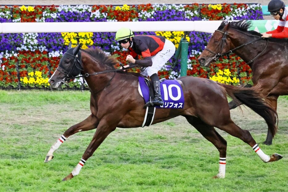 マイルチャンピオンシップ・セリフォス (C)競馬のおはなし