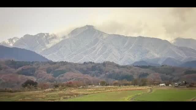 高松市　１９日午前９時頃