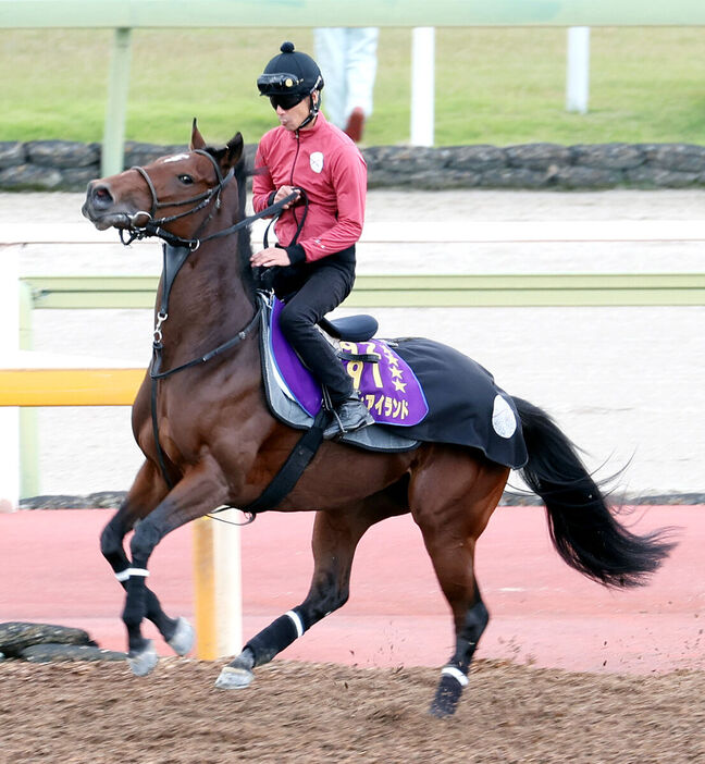 香港で復権を目指すリバティアイランド