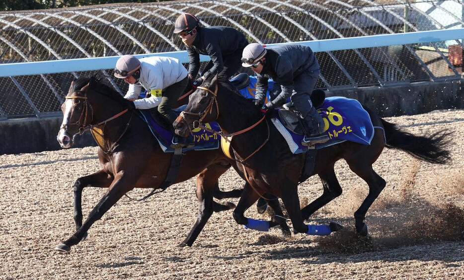 ダノンベルーガ（中央）は美浦ウッドでシュトルーヴェ（手前）などと併せて追い切られた（撮影・丹羽敏通）