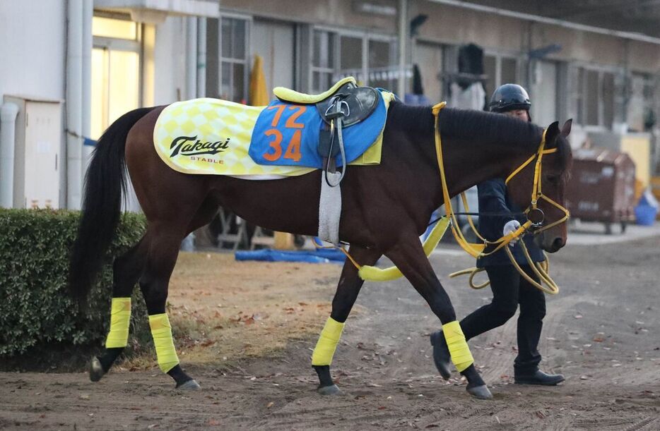 馬トク激走馬に算出されたデコラシオン