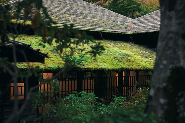 大浴場のほか、本館と別館も国の登録有形文化財。10年ほどで葺き替えるという杉皮葺きの屋根など、趣のある木造建築も魅力だ。