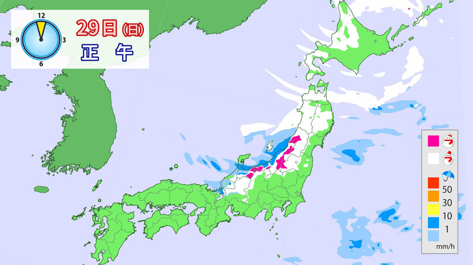 29日(日)正午の雨と雪の予想