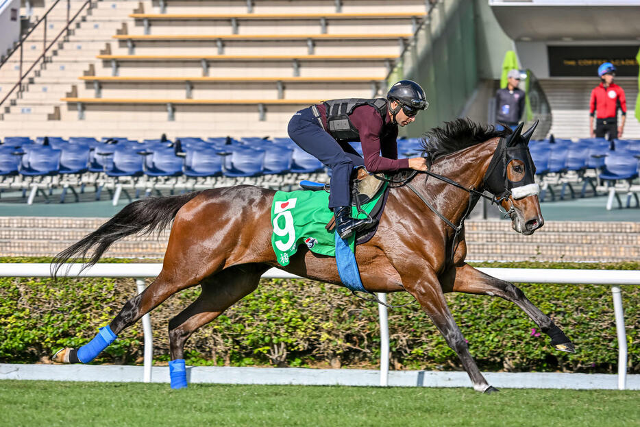 モレイラ騎手を背に芝コースで追い切られたステレンボッシュ（（C）The Hong Kong Jockey Club）