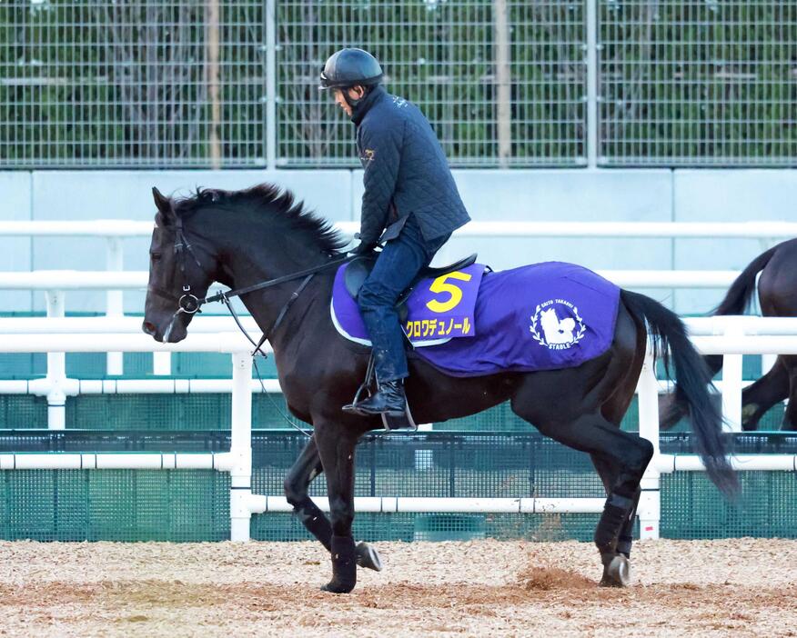 　才能あふれるクロワデュノール