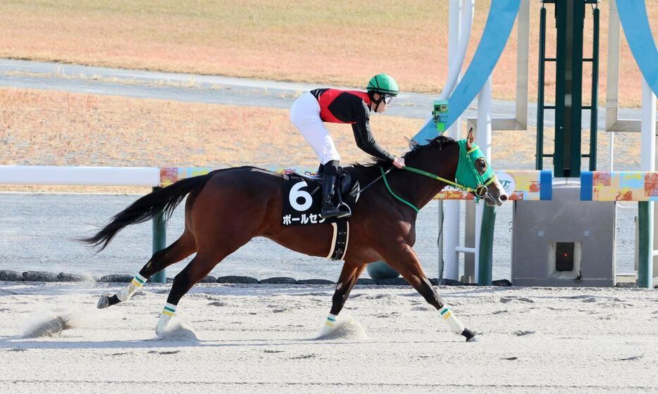 寒椿賞を制し2勝目を挙げたポールセン＝中京競馬場（撮影・中島信生）