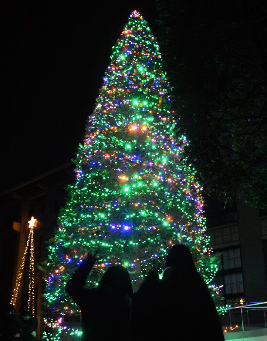 九州ルーテル学院（熊本市）で２日夜、クリスマスツリーの点灯式が行われた。約４００人の学校関係者が見守る中、保育園児がボタンを押すと、もみの木が緑色に浮かび上がり、歓声が上がった。