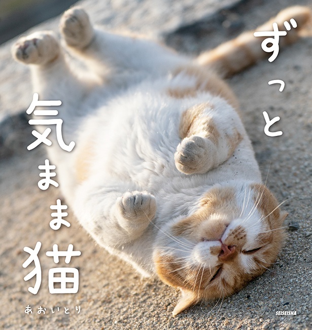 写真集「ずっと気まま猫」表紙