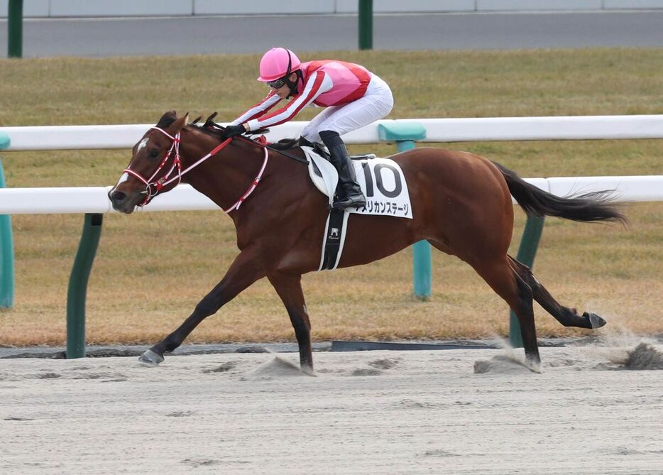 アメリカンステージが逃げ切り勝ち（カメラ・豊田　秀一）