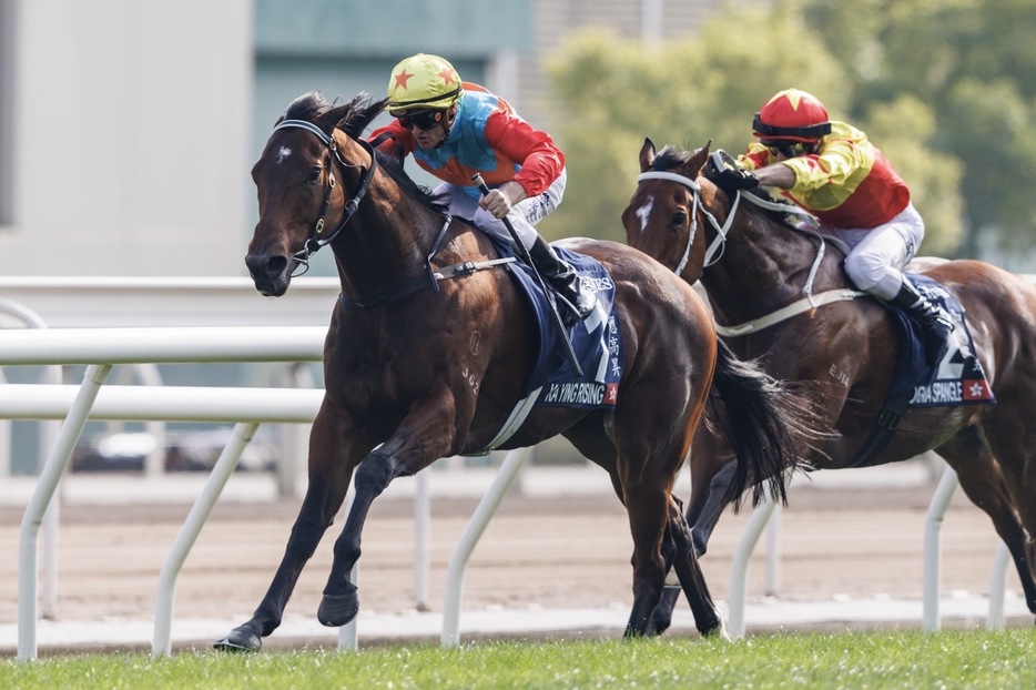 香港スプリント・カーインライジングとZ.パートン騎手 (C)Shinji Honjo