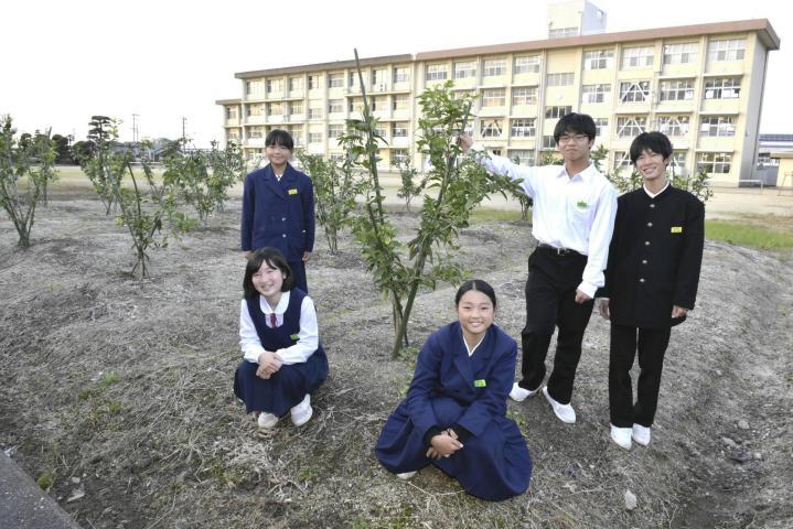 安定したかんきつ栽培に向け、GCFへの協力を呼びかける伊予中の生徒