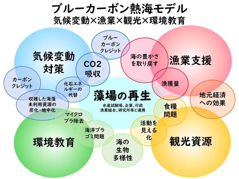 藻場を再生することでもたらされるメリットは数多くある