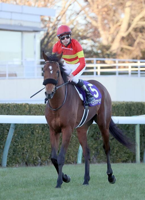 有馬記念で4着に敗れたベラジオオペラ＝中山競馬場（撮影・塩浦孝明）