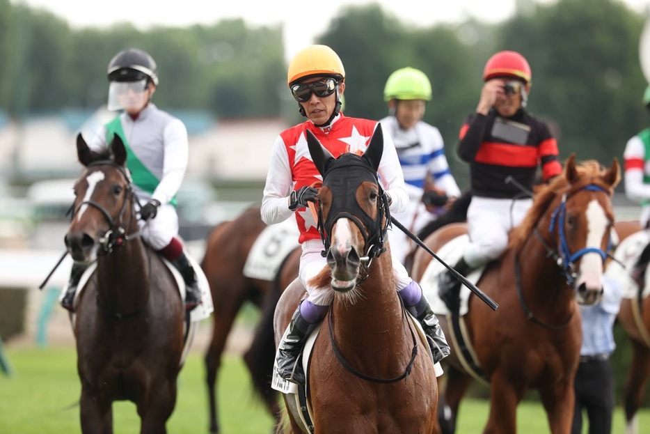 札幌5R・アルテヴェローチェと武豊騎手 (C)Super Markun