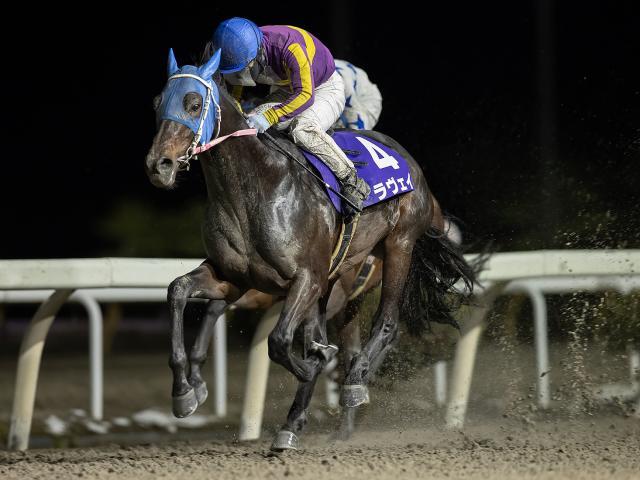 金杯を制したラヴェイ(写真提供：岩手県競馬組合)