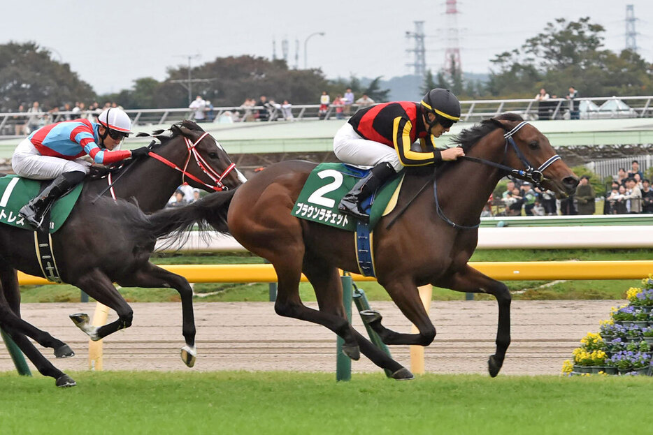 主役候補はアルテミスＳ覇者ブラウンラチェット