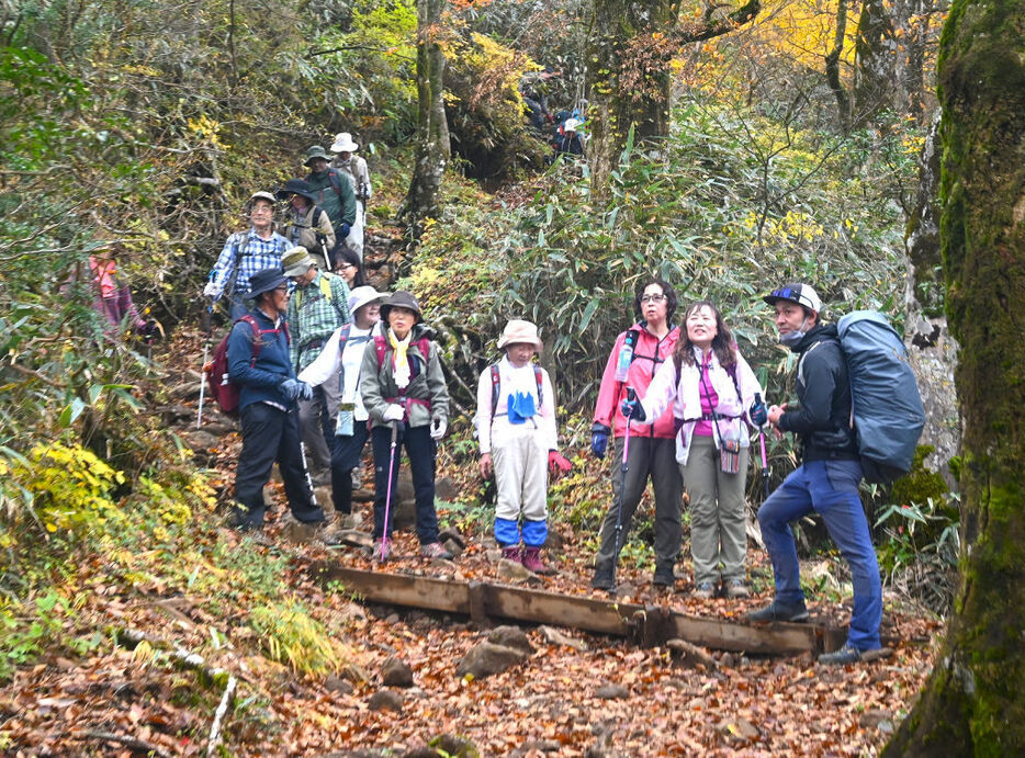 ガイド（右）とともに金時山山頂を目指す参加者。登山道はアップダウンも多い＝11月16日