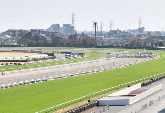 　中山競馬場