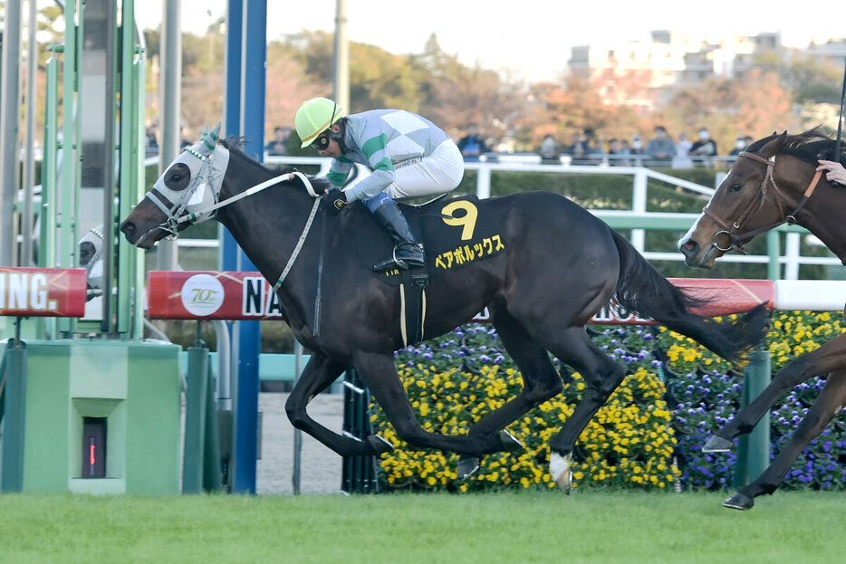 ペアポルックスがオープン初勝利