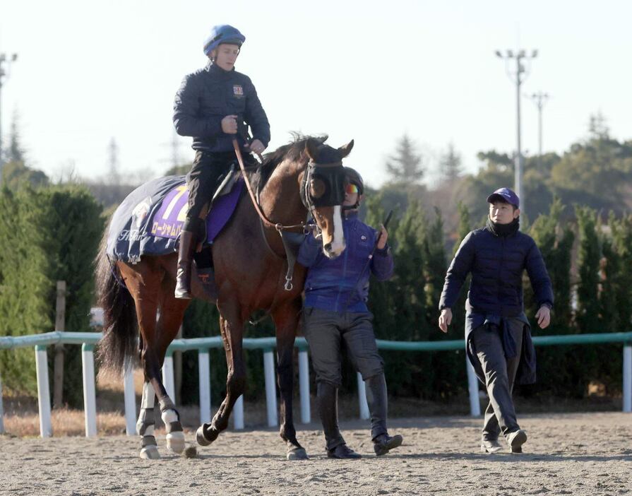 ローシャムパーク＝美浦トレセン（撮影・塩浦孝明）