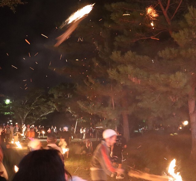 火の粉を散らして松の木に投げられるたいまつ（８月１４日夜、日野町上野田・口之宮神社）