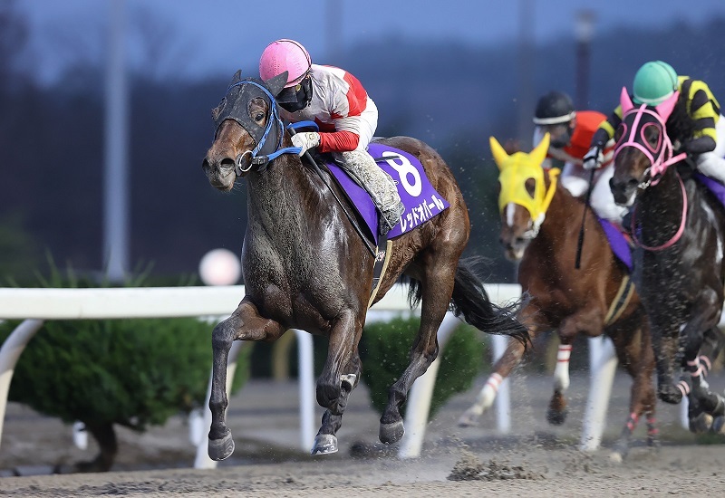 寒菊賞・レッドオパールと山本聡哉騎手 (C)岩手県競馬組合