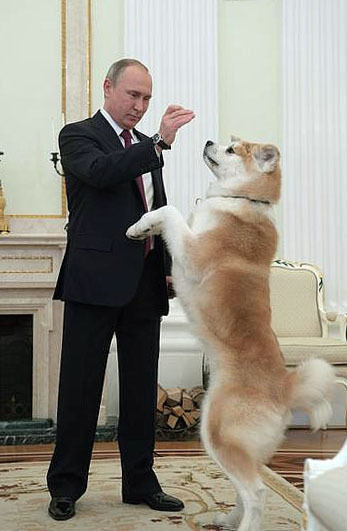 ロシアのプーチン大統領と秋田犬「ゆめ」（ロシア大統領府提供・共同）