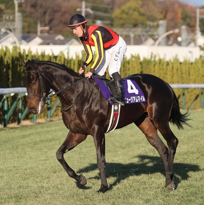 朝日杯FSで2着に敗れたミュージアムマイル＝京都競馬場（撮影・安部光翁）