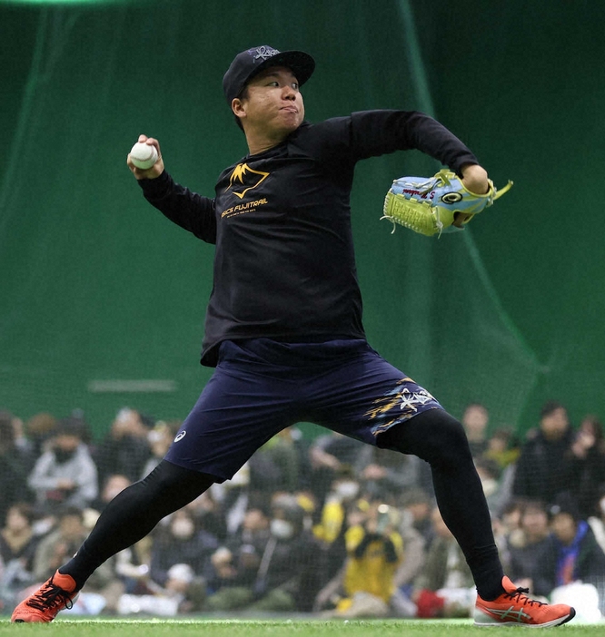 自主トレを公開した阪神・村上（撮影・須田　麻祐子）