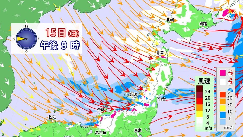 15日(日)午後9時の雪・雨・風の予想