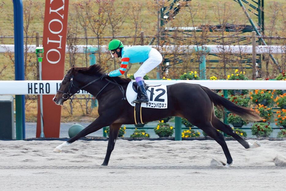 　新馬戦を快勝したヤマニンバロネス（撮影・石湯恒介）