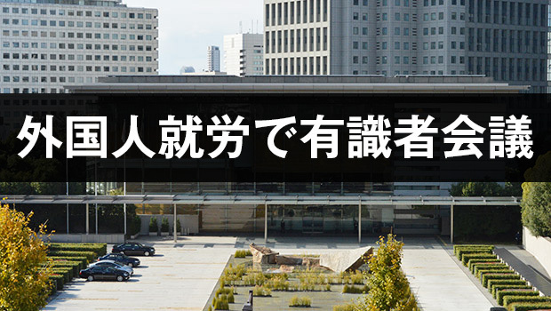 基本方針は2025年2月、受け入れ分野や人数などを定める運用方針は同年12月に閣議決定します