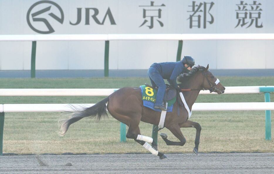 京都競馬場のダートコース（左回り）で追い切りを行った米国のメイデイレディ（撮影・林俊志）