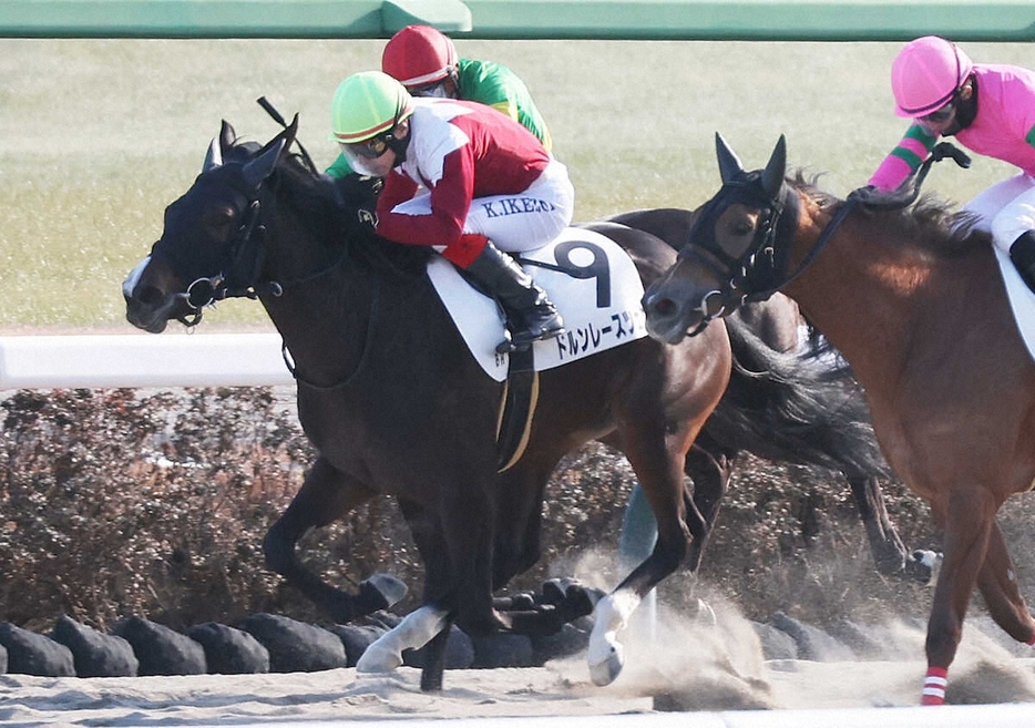 ＜中山6R・メイクデビュー中山＞新馬戦を制したドルンレースツェン（中）　（撮影・村上　大輔）