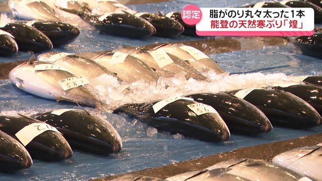 テレビ金沢NEWS