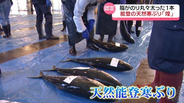 テレビ金沢NEWS