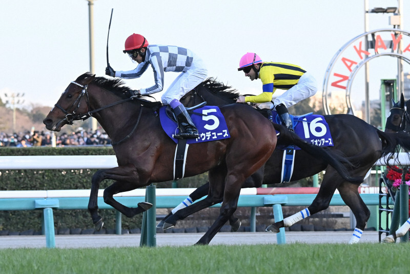 有馬記念を制したドウデュース（左）と2着のスターズオンアース＝中山競馬場で2023年12月24日、三浦研吾撮影