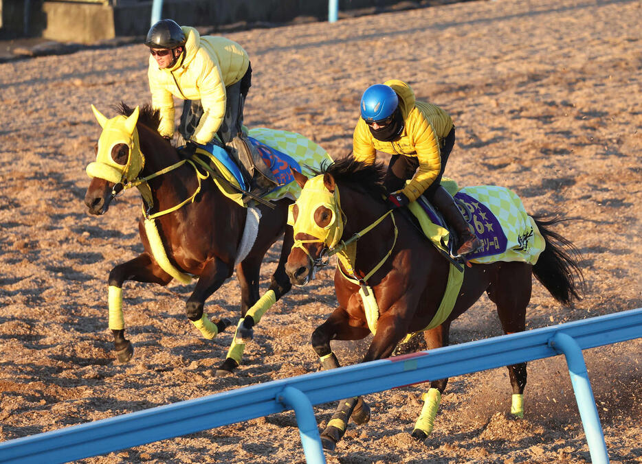 ウシュバテソーロ（手前）は菅原明騎手を背に美浦ウッドでウィルソンテソーロと併せて追い切られた