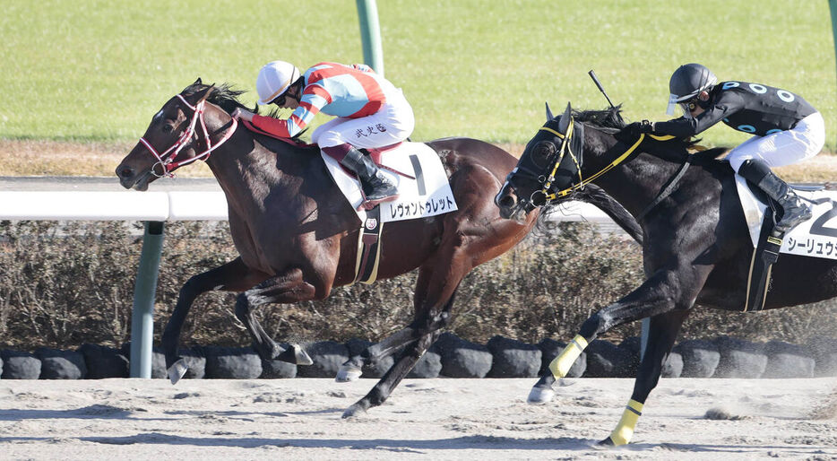 勝利したレヴォントゥレット（左）（カメラ・荒牧　徹）